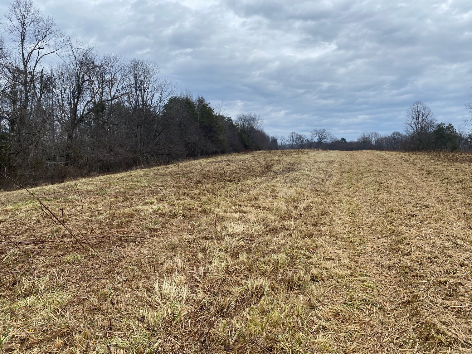 Image for Real Estate Auction - Home & 38± Acres in Dobson, NC