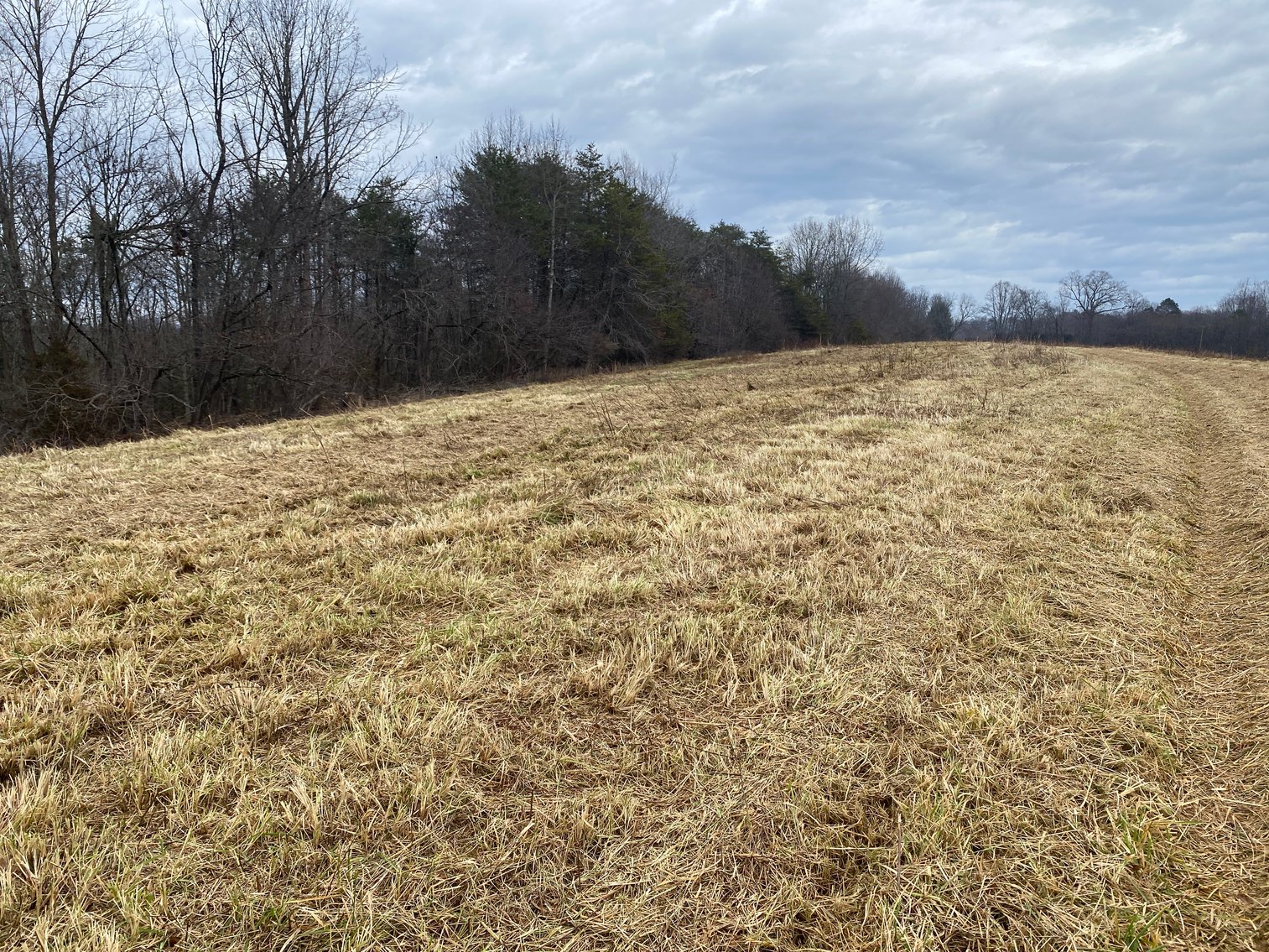 Image for Real Estate Auction - Home & 38± Acres in Dobson, NC