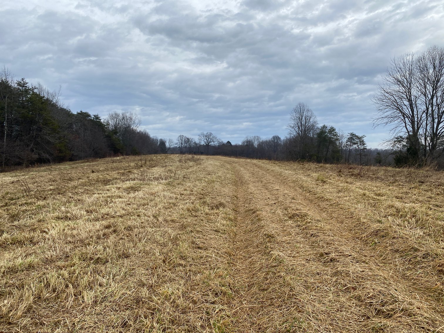 Image for Real Estate Auction - Home & 38± Acres in Dobson, NC