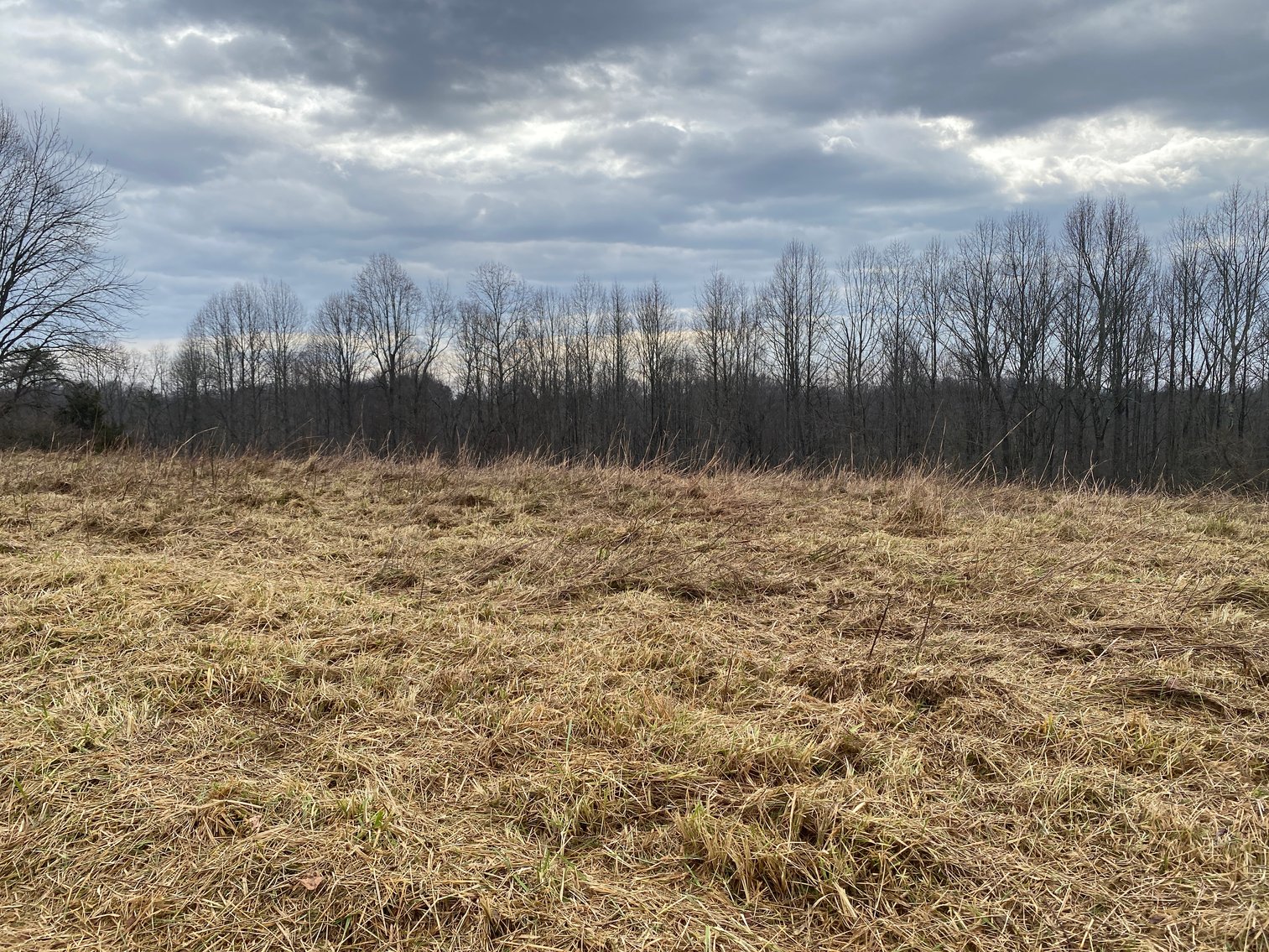 Image for Real Estate Auction - Home & 38± Acres in Dobson, NC