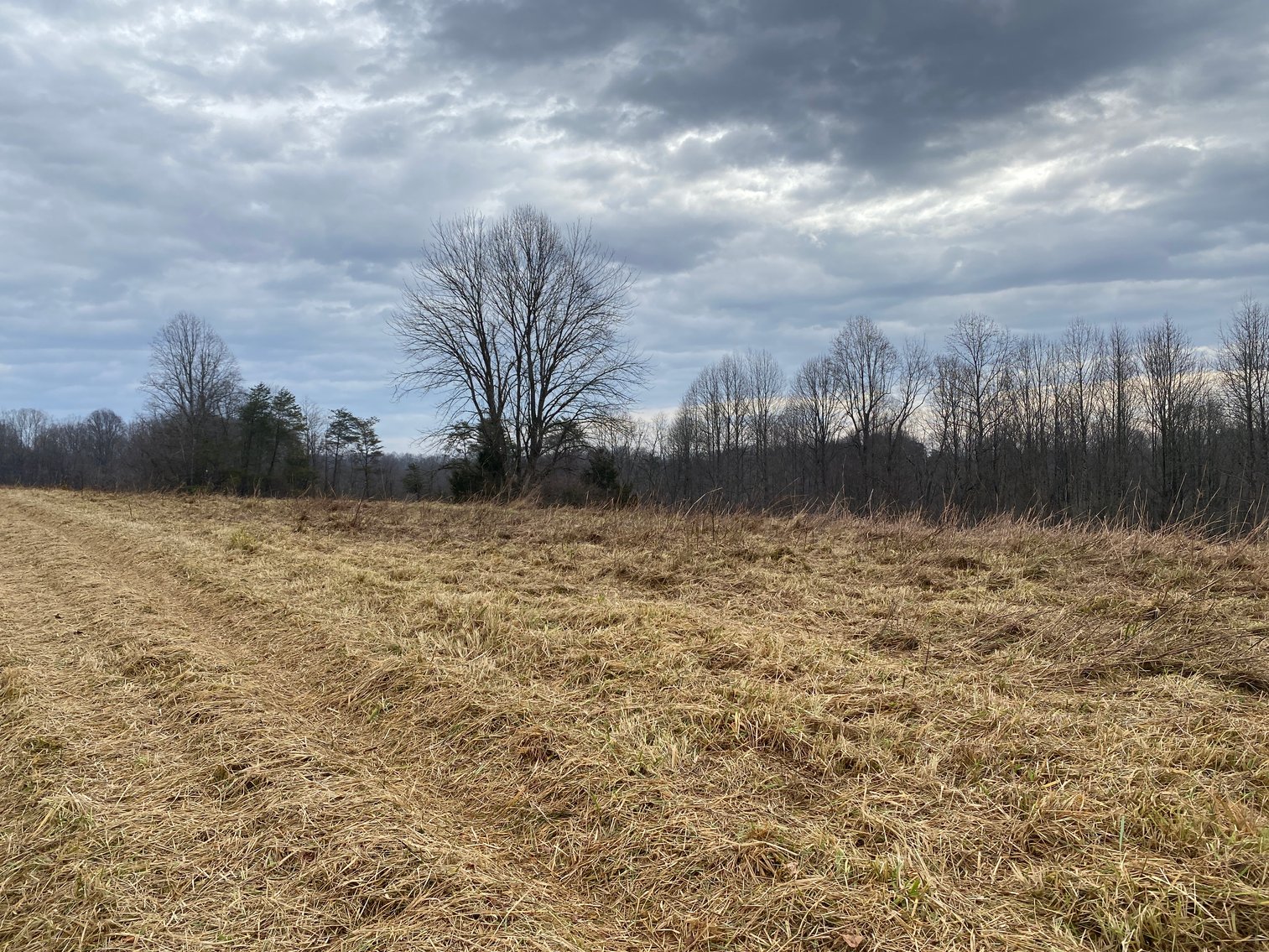 Image for Real Estate Auction - Home & 38± Acres in Dobson, NC