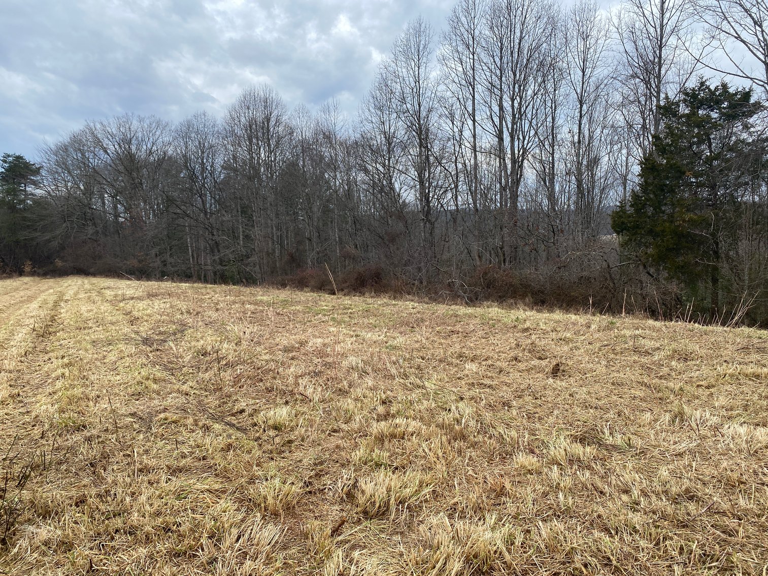 Image for Real Estate Auction - Home & 38± Acres in Dobson, NC
