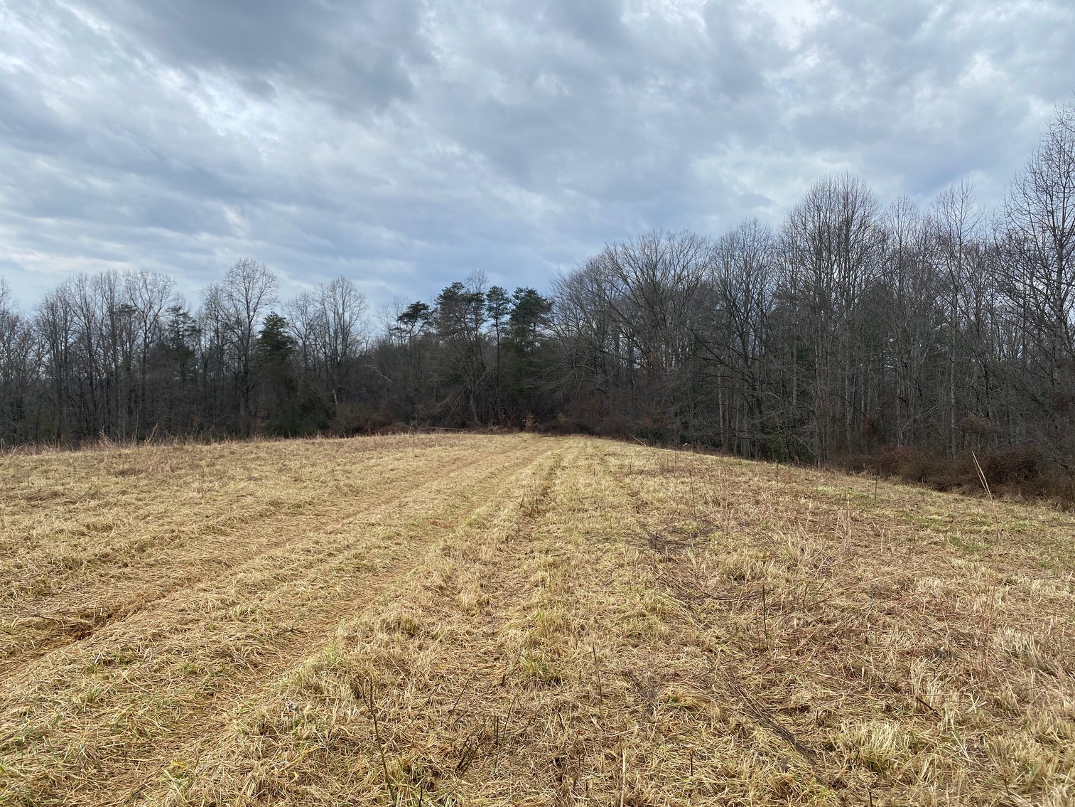 Image for Real Estate Auction - Home & 38± Acres in Dobson, NC
