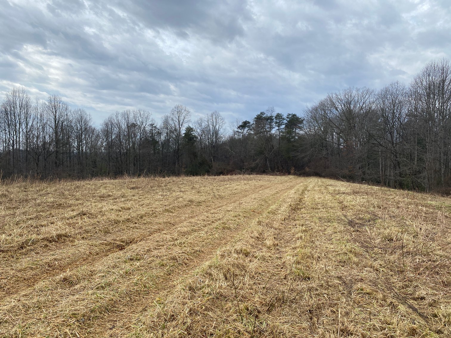 Image for Real Estate Auction - Home & 38± Acres in Dobson, NC