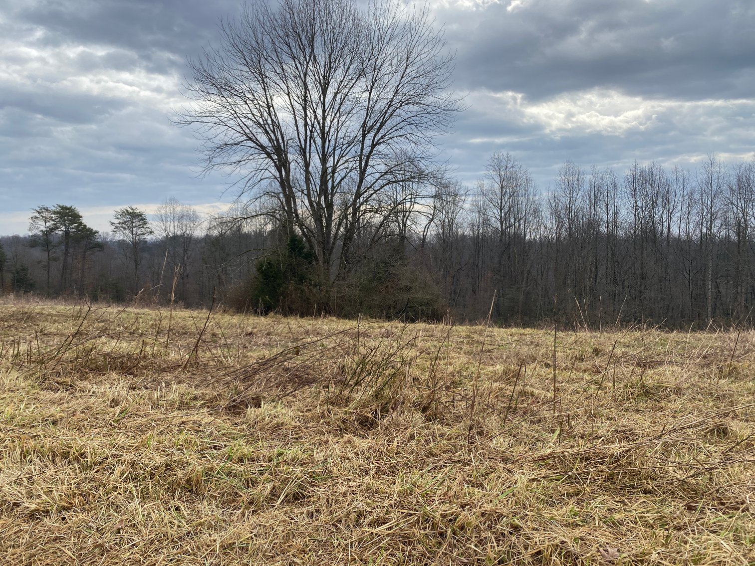 Image for Real Estate Auction - Home & 38± Acres in Dobson, NC