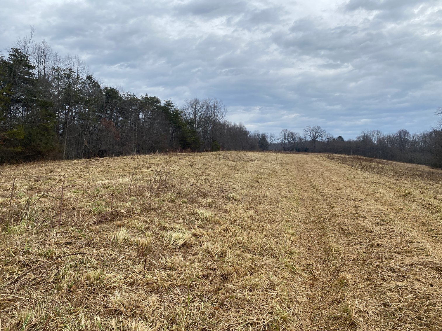 Image for Real Estate Auction - Home & 38± Acres in Dobson, NC