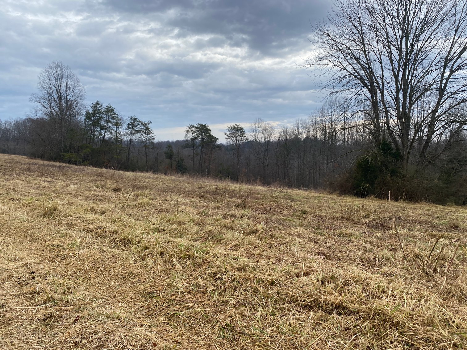 Image for Real Estate Auction - Home & 38± Acres in Dobson, NC