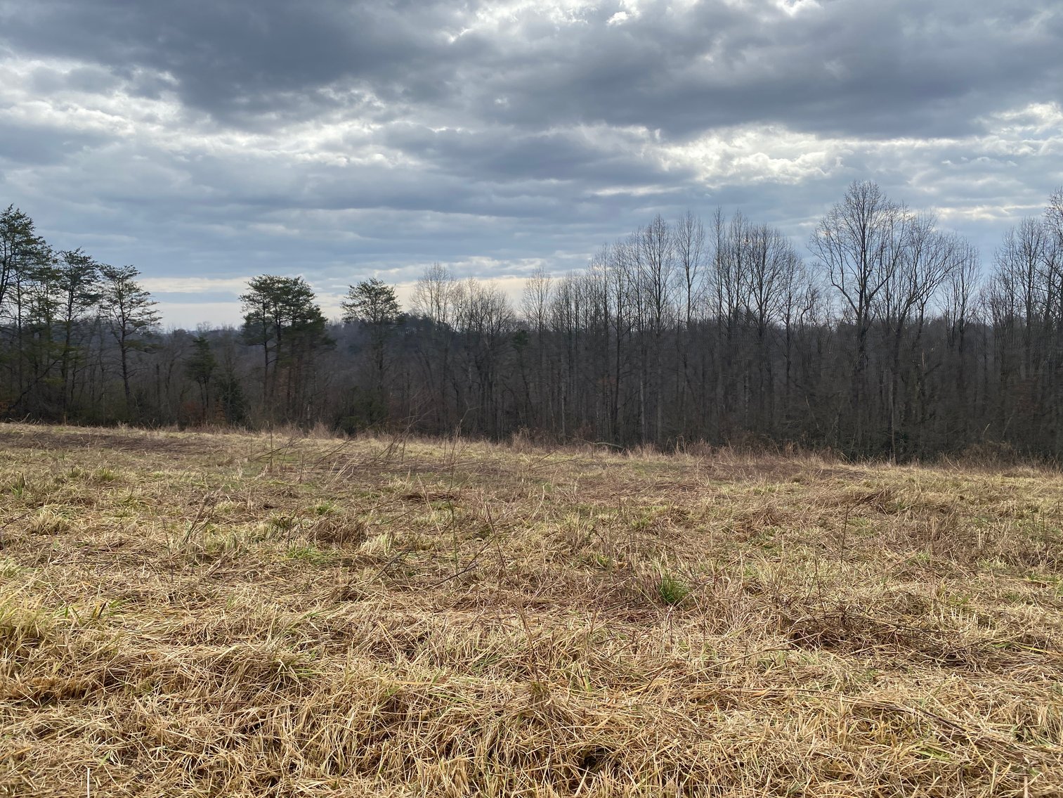 Image for Real Estate Auction - Home & 38± Acres in Dobson, NC