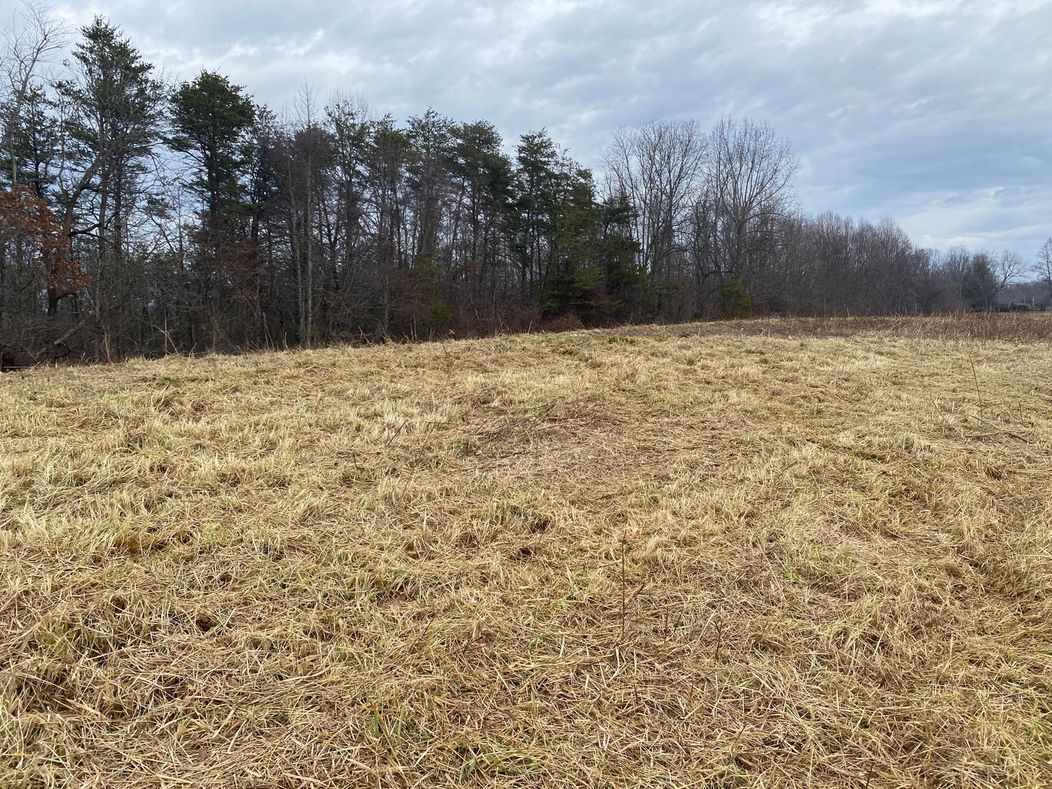 Image for Real Estate Auction - Home & 38± Acres in Dobson, NC