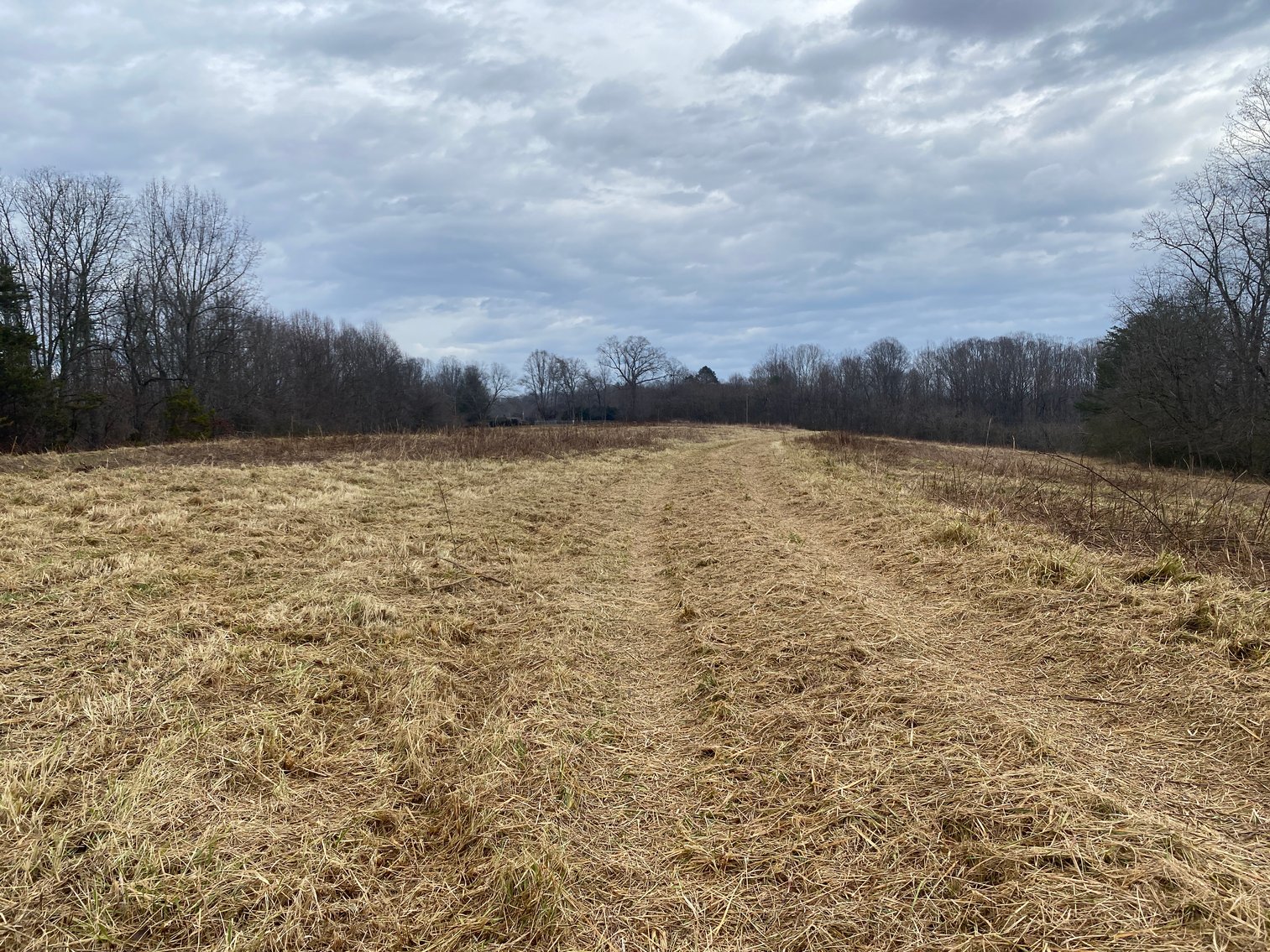 Image for Real Estate Auction - Home & 38± Acres in Dobson, NC