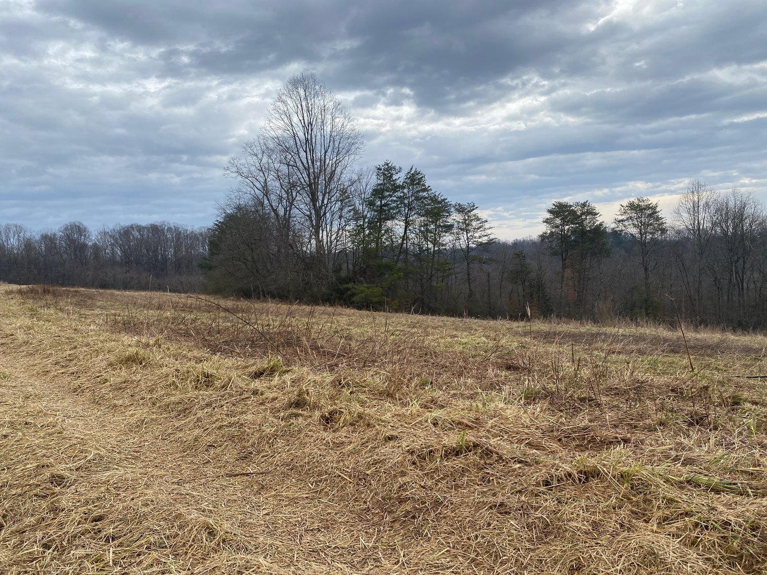 Image for Real Estate Auction - Home & 38± Acres in Dobson, NC