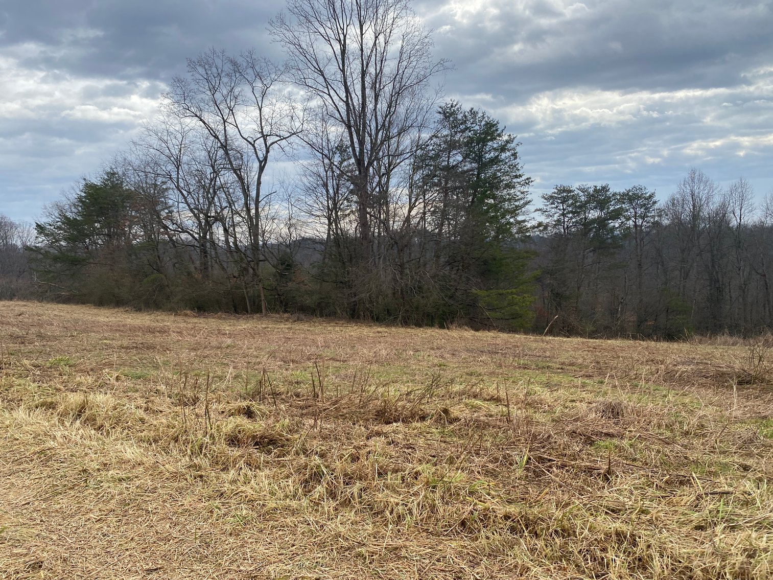 Image for Real Estate Auction - Home & 38± Acres in Dobson, NC