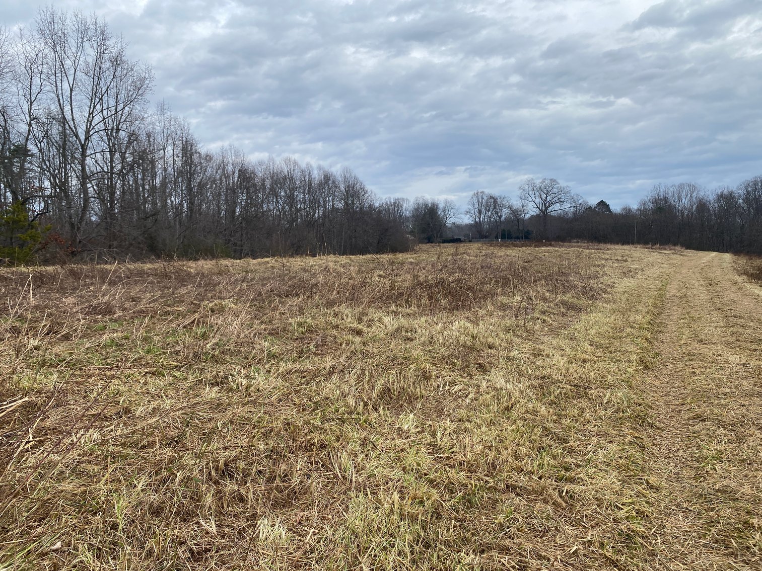 Image for Real Estate Auction - Home & 38± Acres in Dobson, NC