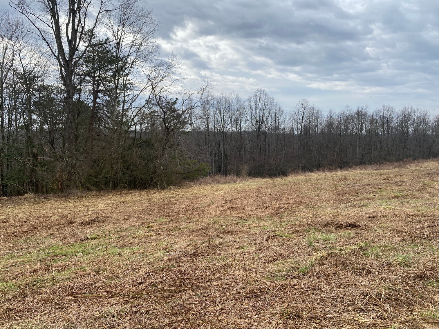 Image for Real Estate Auction - Home & 38± Acres in Dobson, NC