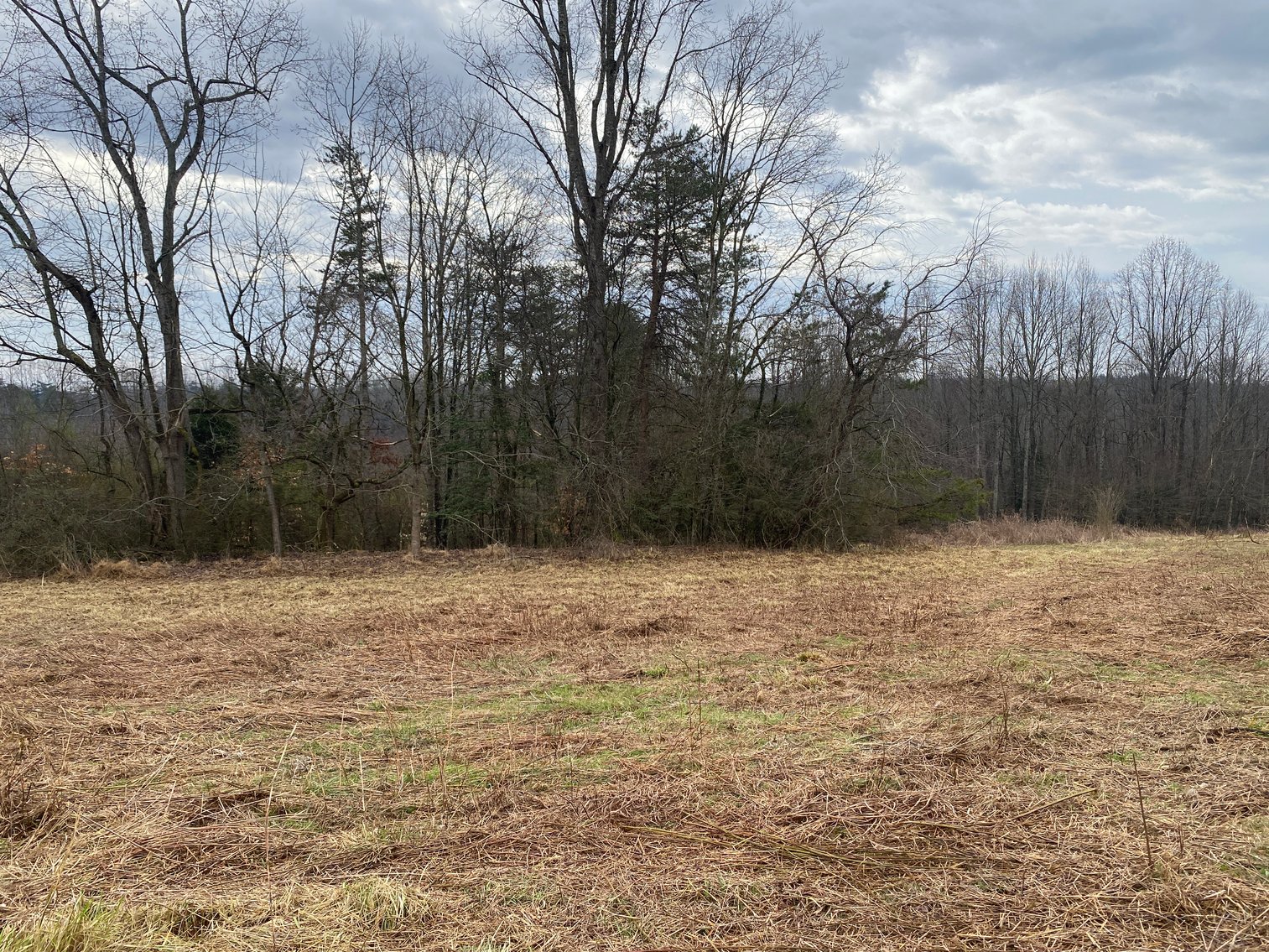 Image for Real Estate Auction - Home & 38± Acres in Dobson, NC