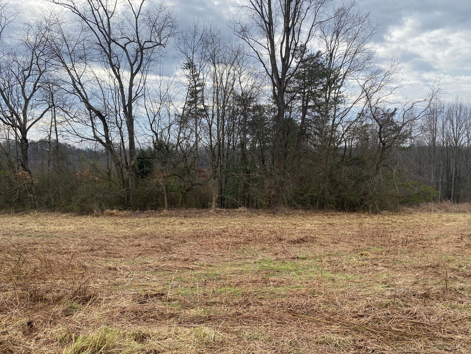 Image for Real Estate Auction - Home & 38± Acres in Dobson, NC