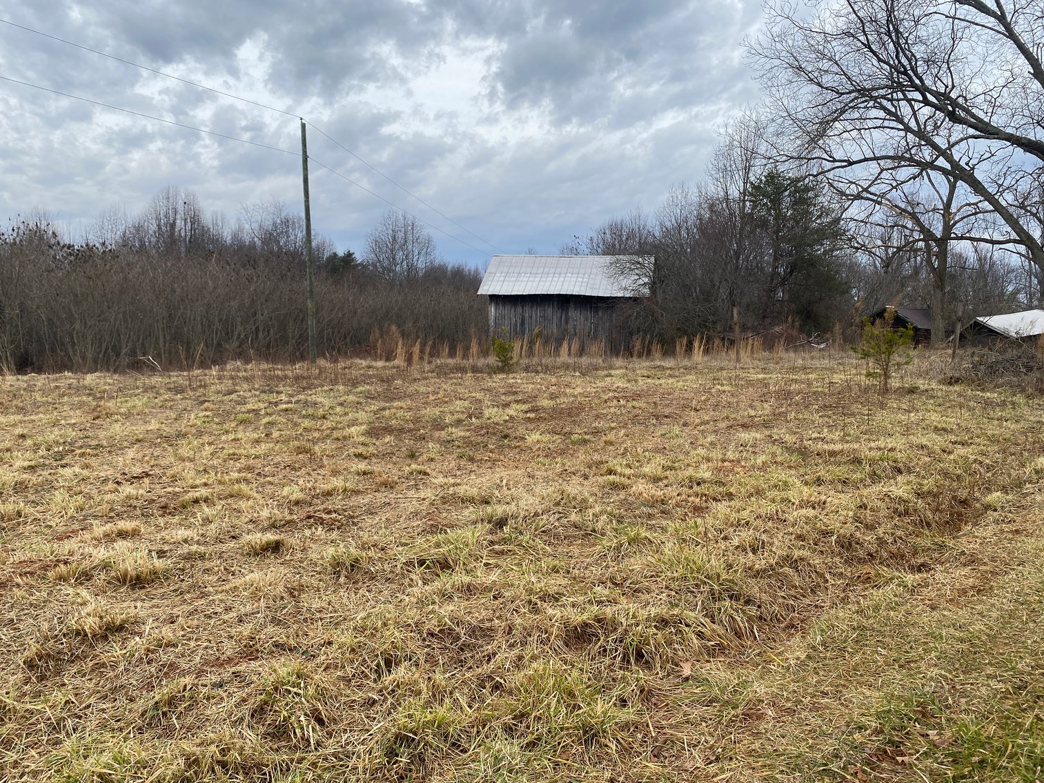 Image for Real Estate Auction - Home & 38± Acres in Dobson, NC