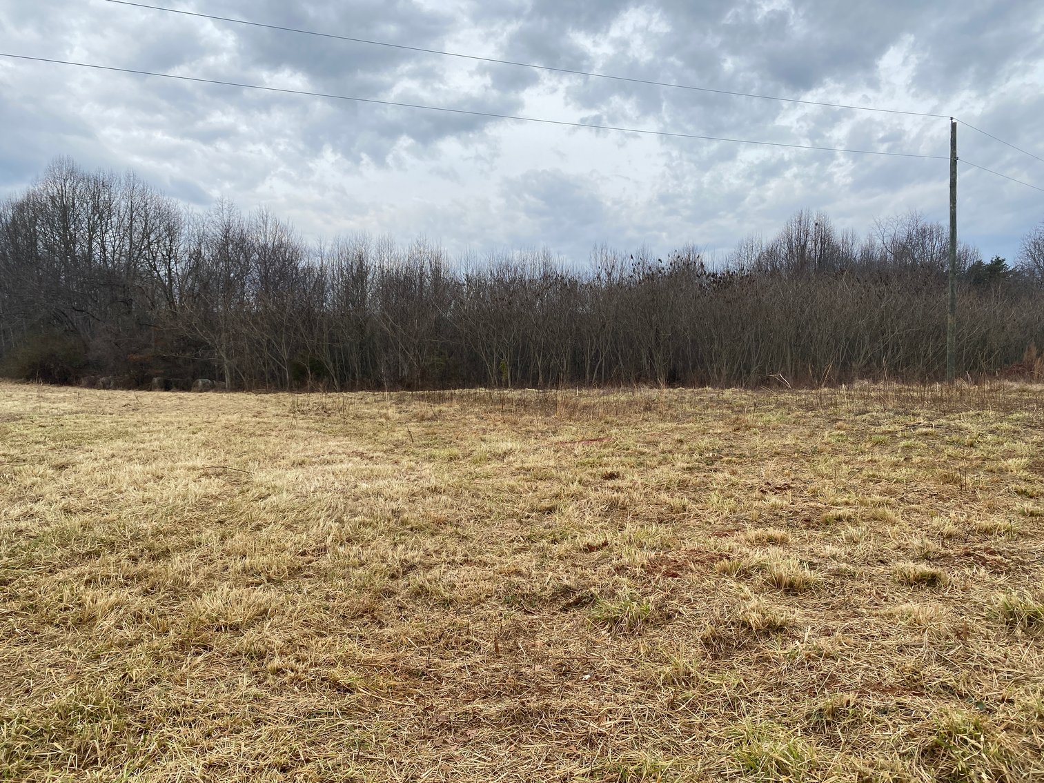 Image for Real Estate Auction - Home & 38± Acres in Dobson, NC