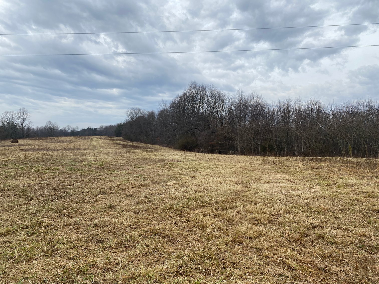 Image for Real Estate Auction - Home & 38± Acres in Dobson, NC