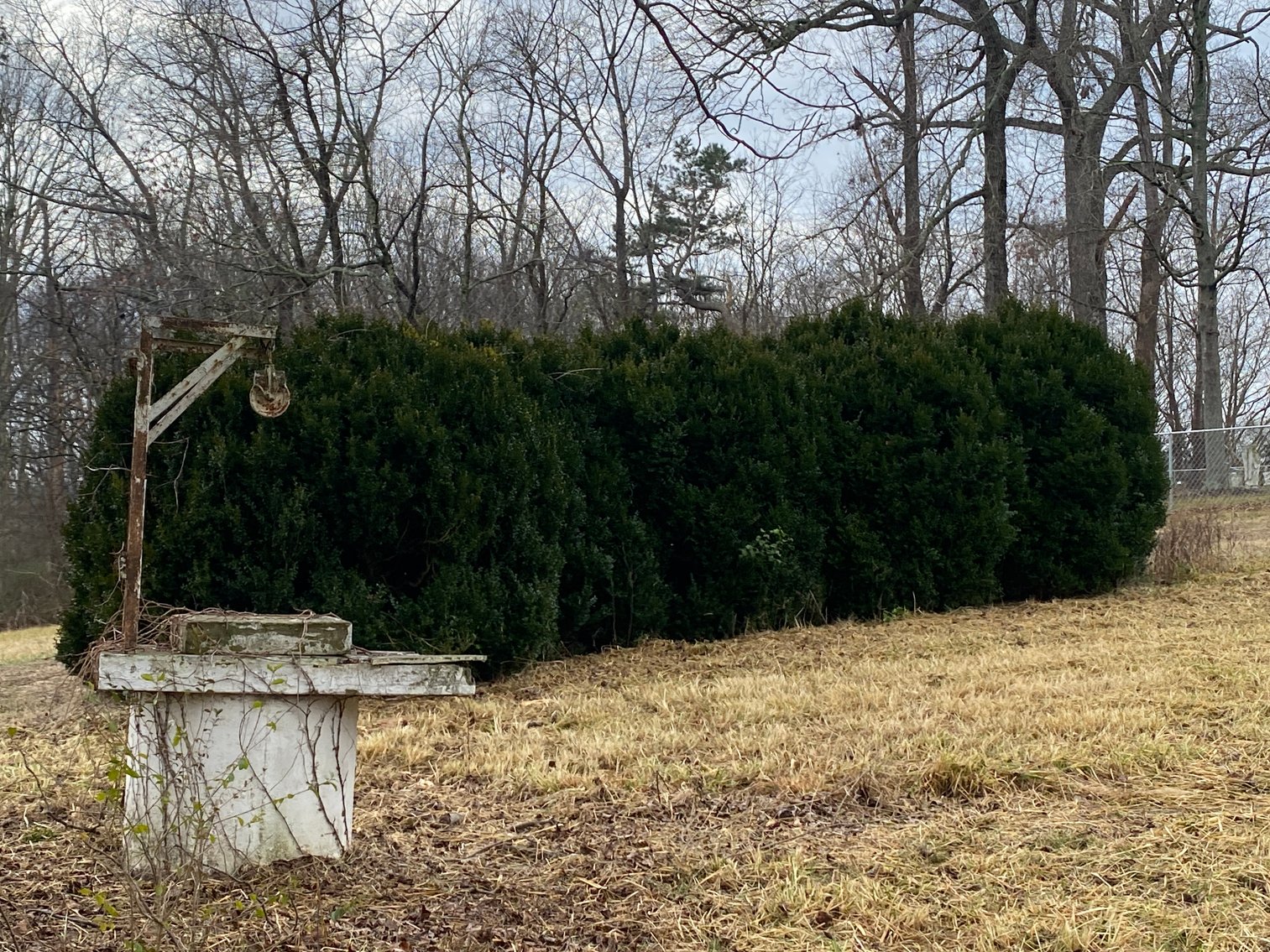 Image for Real Estate Auction - Home & 38± Acres in Dobson, NC