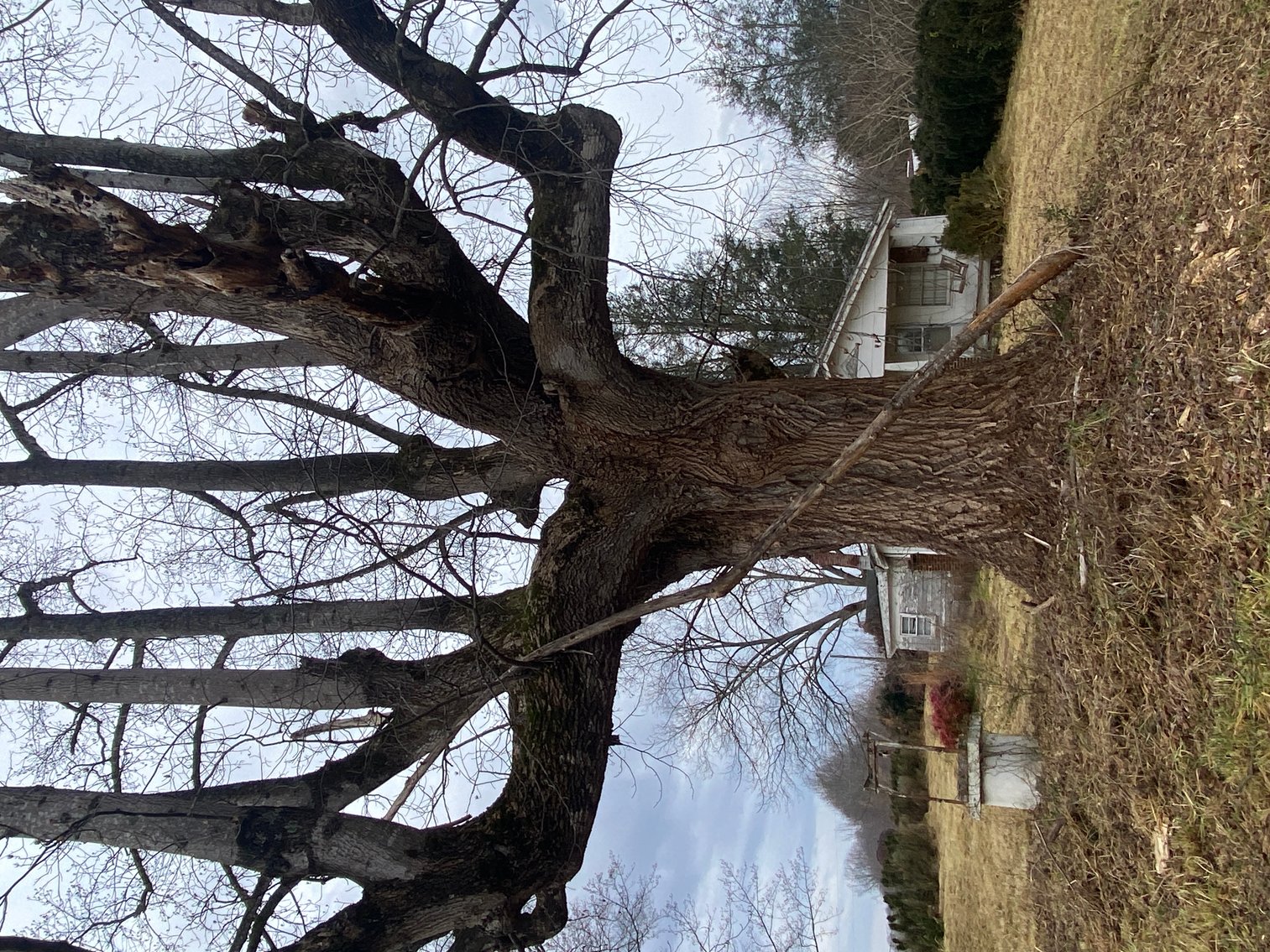 Image for Real Estate Auction - Home & 38± Acres in Dobson, NC