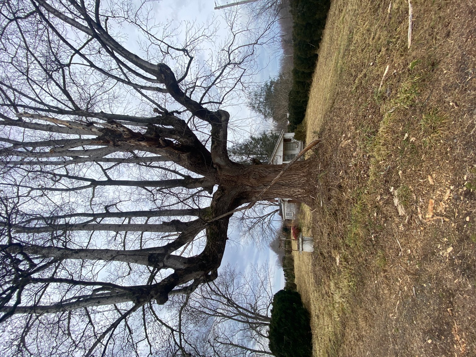 Image for Real Estate Auction - Home & 38± Acres in Dobson, NC