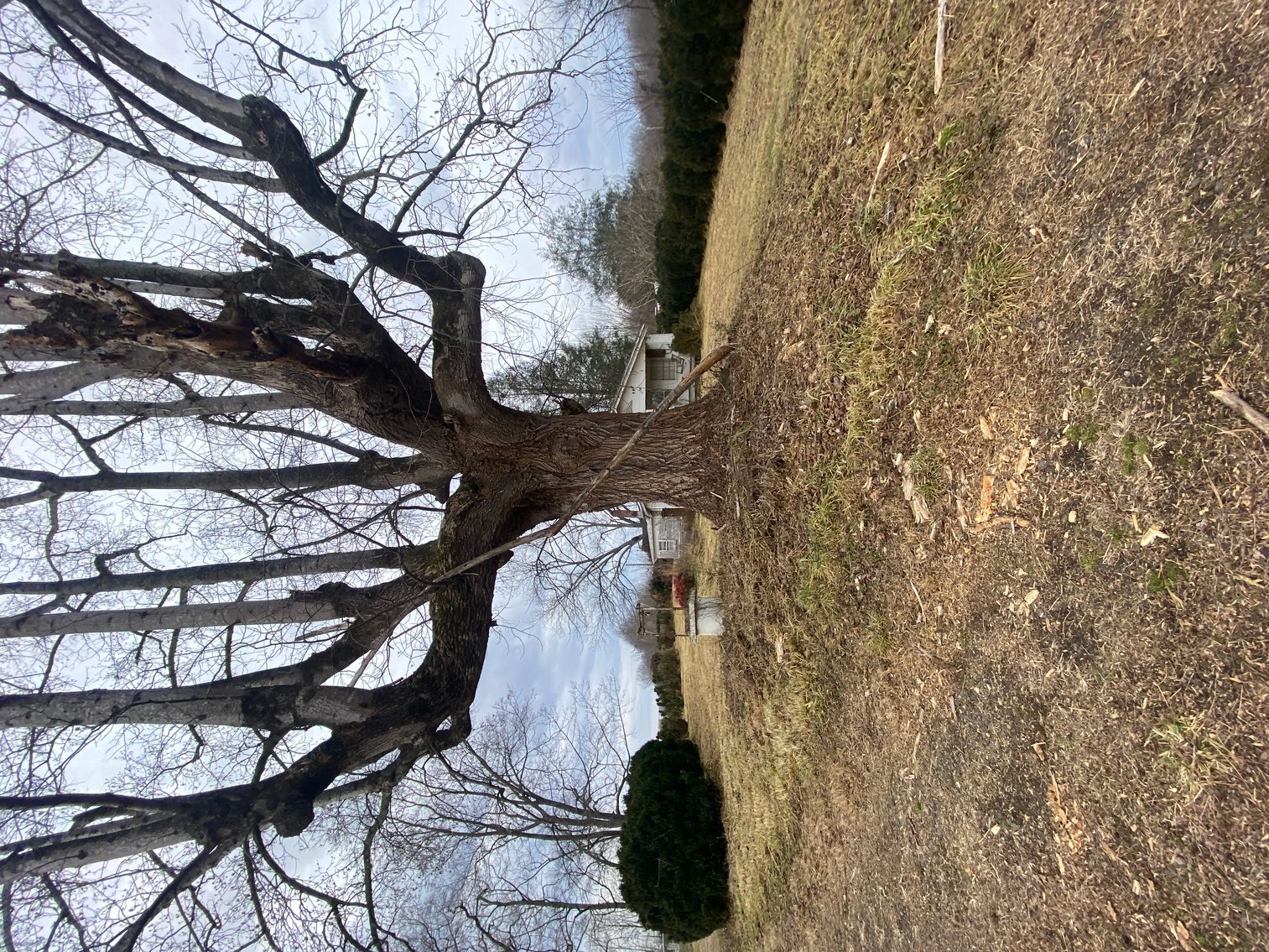 Image for Real Estate Auction - Home & 38± Acres in Dobson, NC