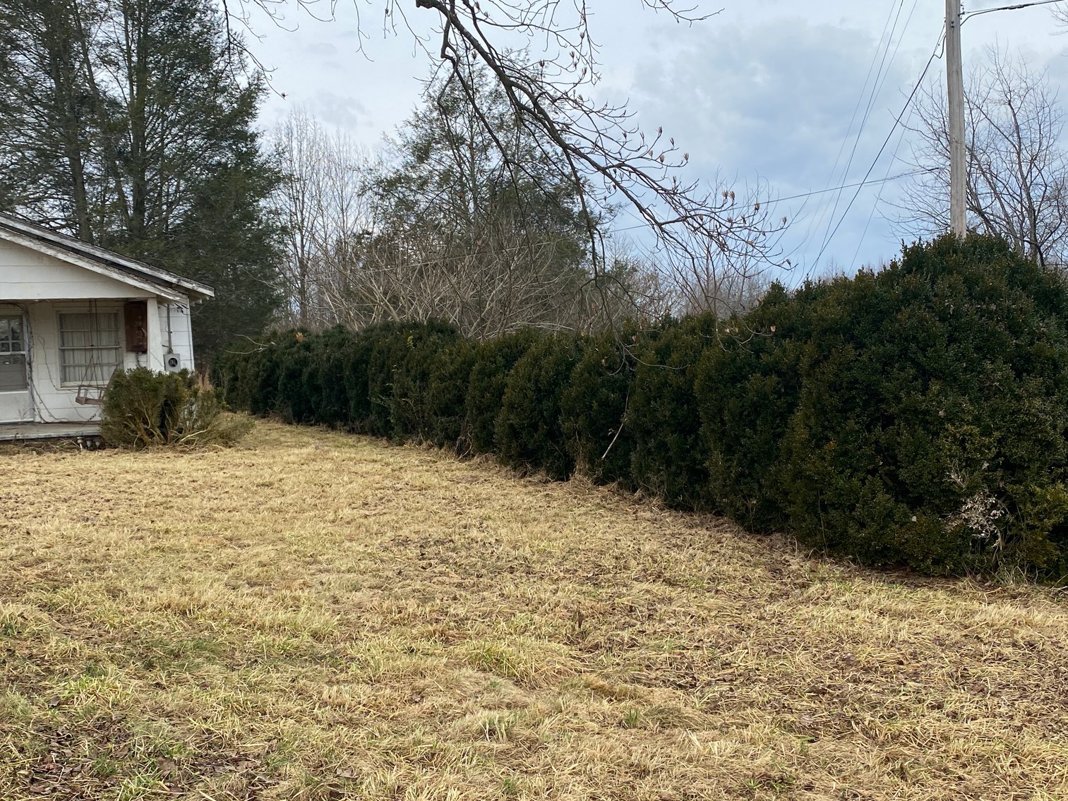 Image for Real Estate Auction - Home & 38± Acres in Dobson, NC