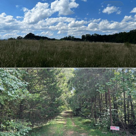 Commissioner's Sale - 59± Acres in Mount Airy, NC & 18.787± Acres in Siloam, NC