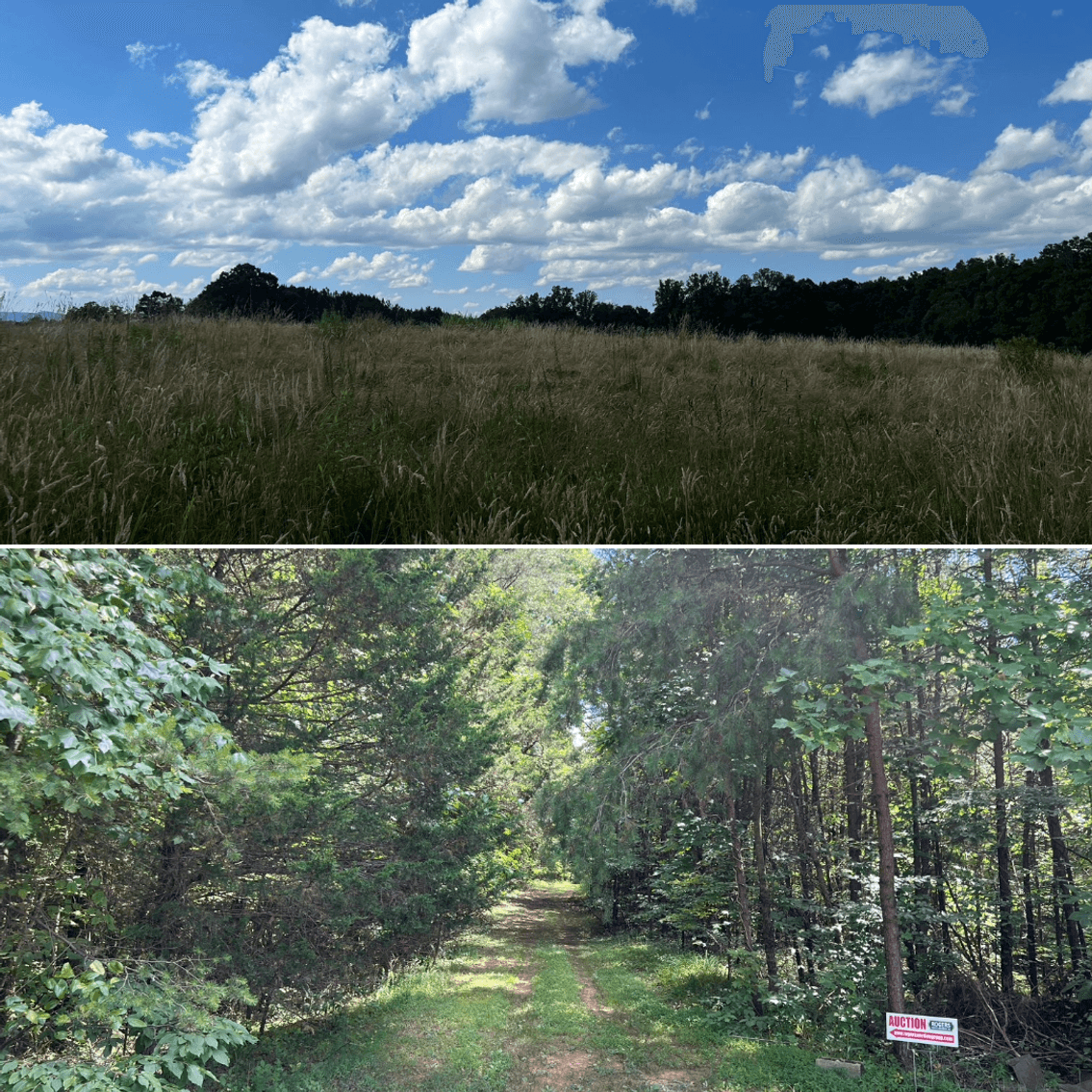 Image for Commissioner's Sale - 59± Acres in Mount Airy, NC & 18.787± Acres in Siloam, NC