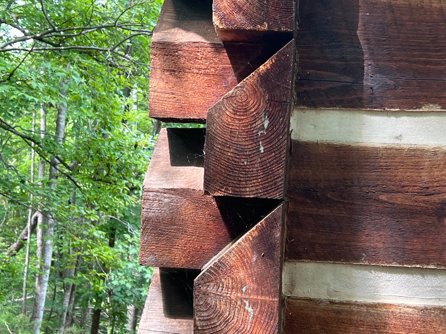 Image for Raiford Commissioner's Sale: House & Acreage in Orchard Mountain