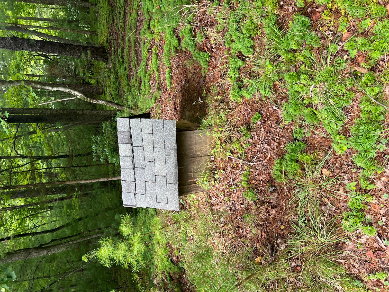 Image for Raiford Commissioner's Sale: House & Acreage in Orchard Mountain