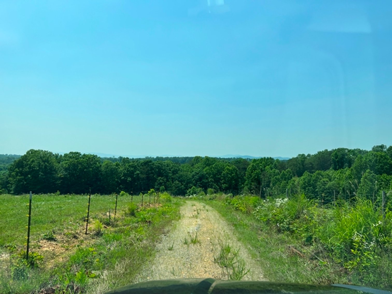 Image for Estate of The Late Jimmy Ray Newman - 150± Acres with 1 Home & Additional Buildings