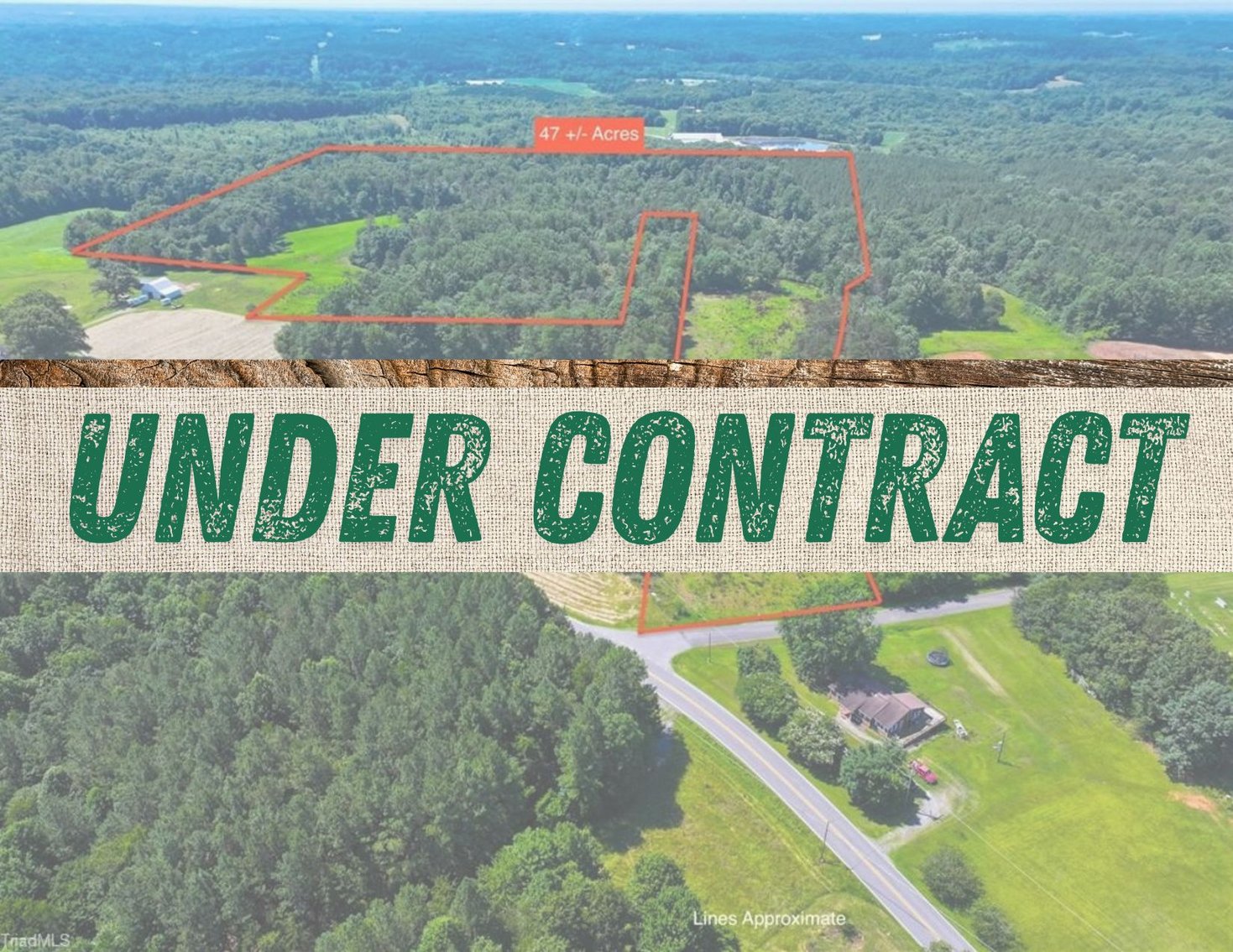 Image for 47± Acres in Siloam, NC – Land Auction
