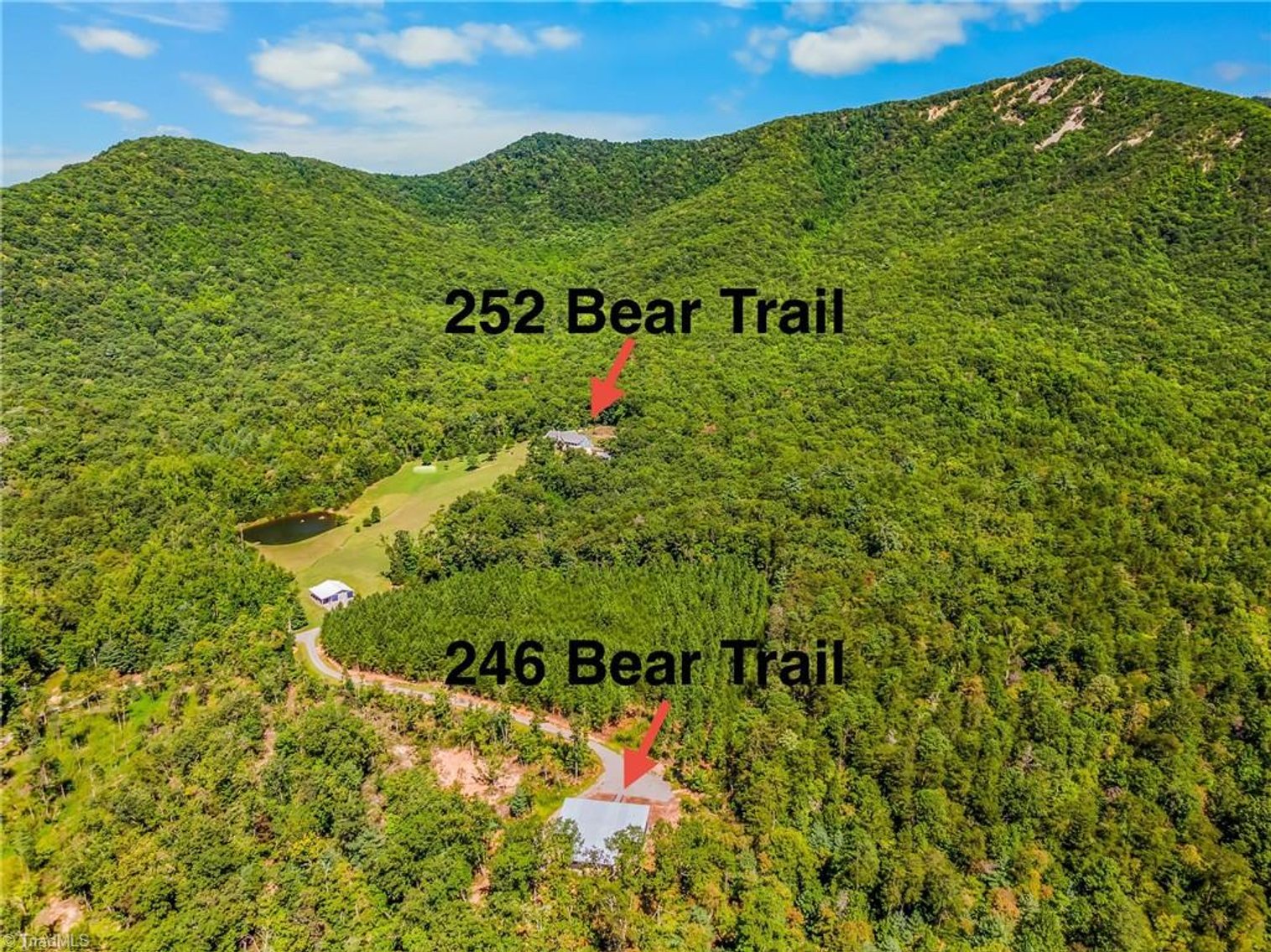 Image for 2 Homes on 56 Acres - 246 & 252 Bear Trail, Lowgap, NC 27024