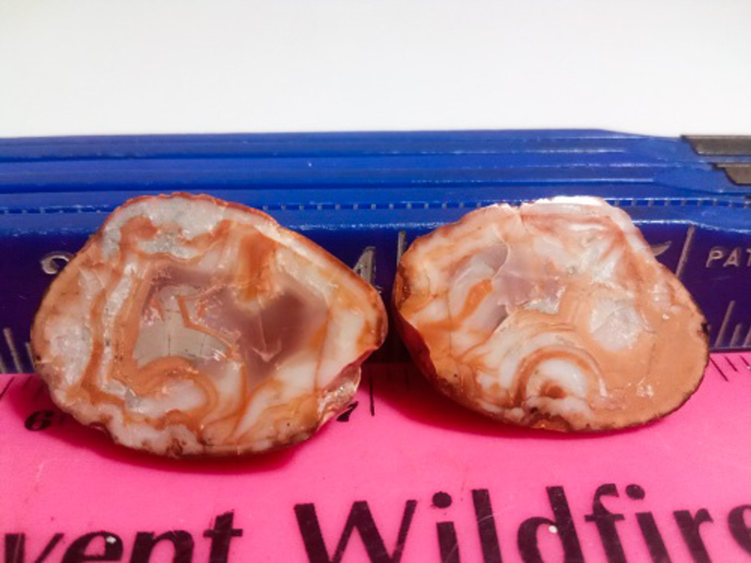 Image for Dale's Diggings Rock Auction