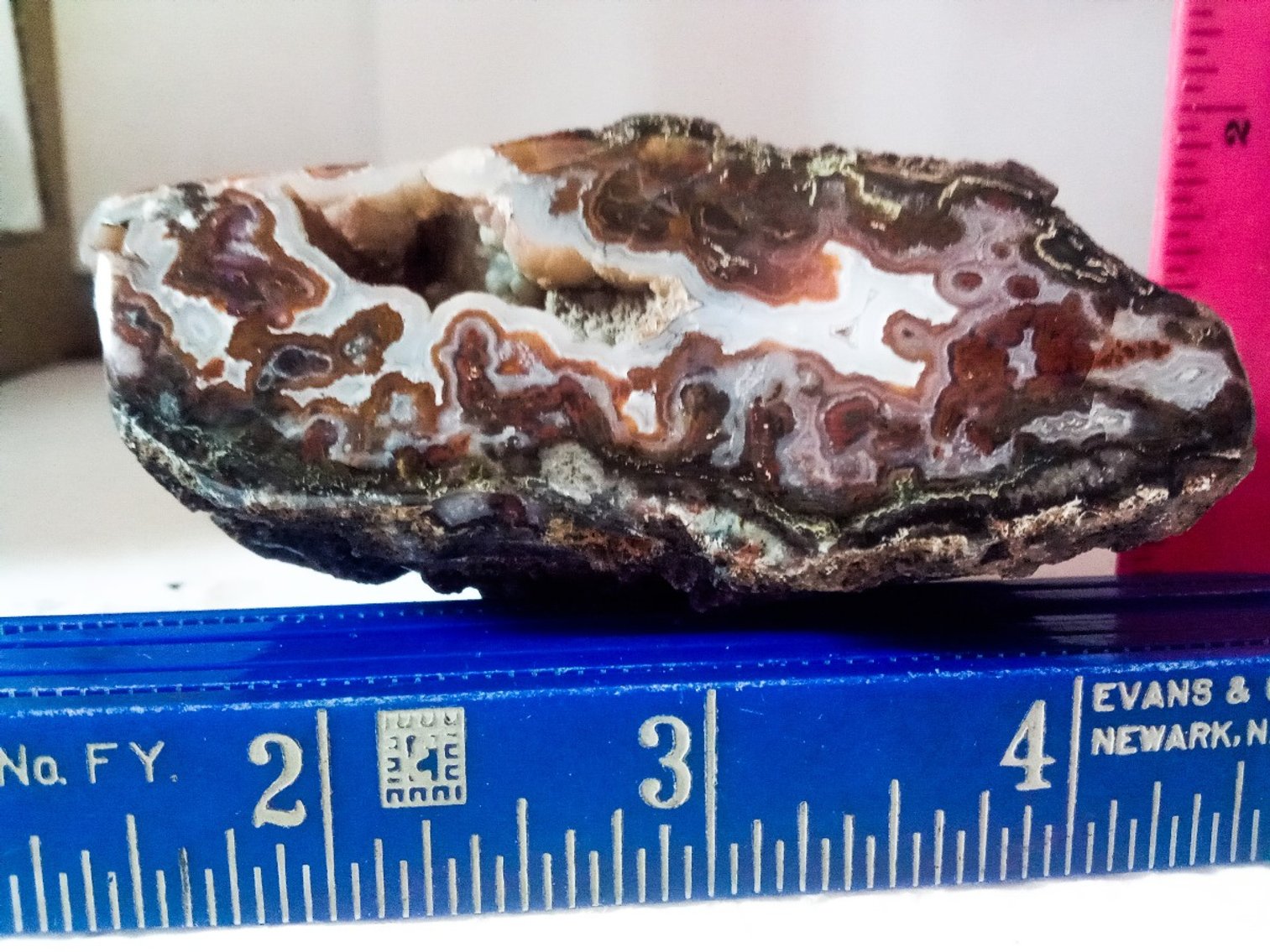 Image for Dale's Diggings Rock Auction