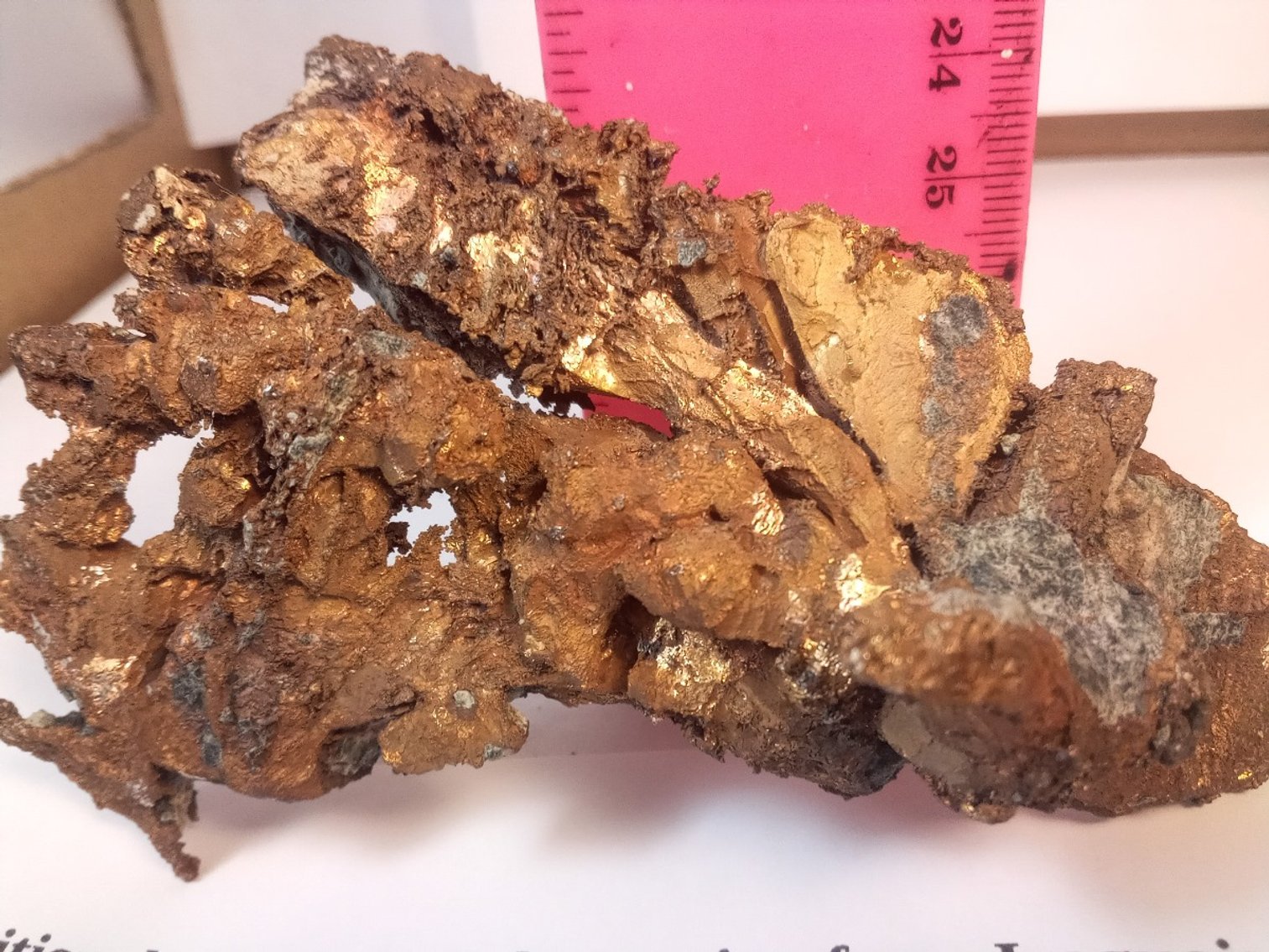 Image for Dale's Diggings Rock Auction