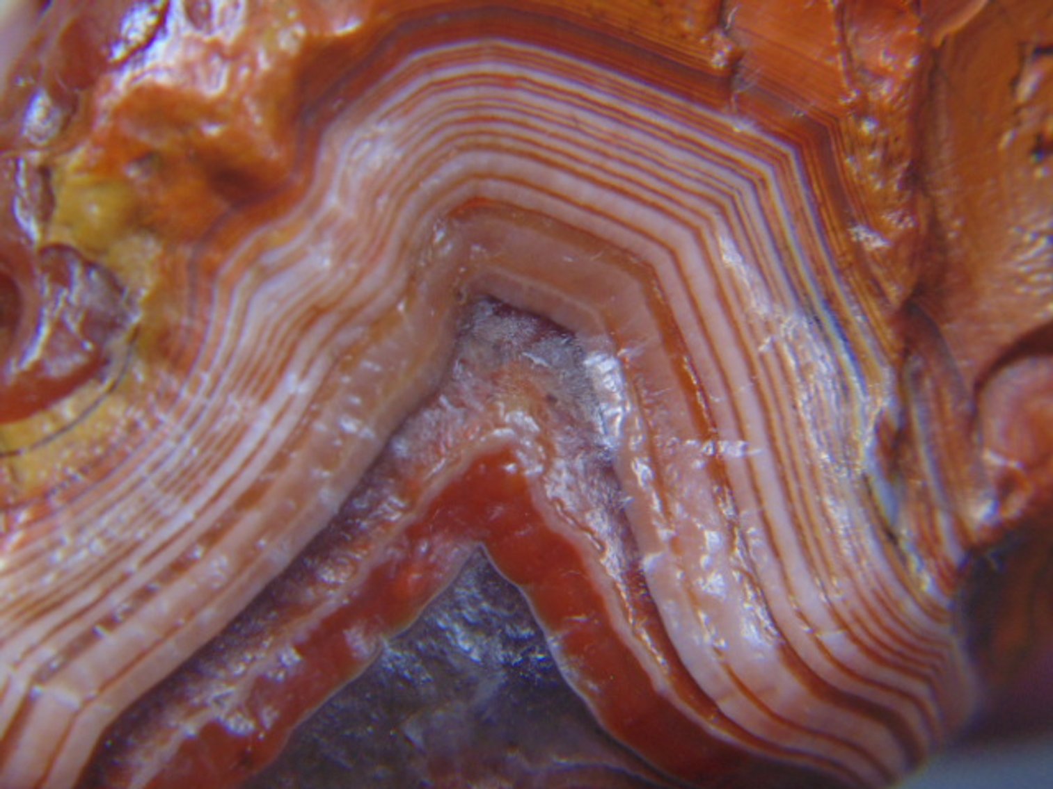 Image for Lapidary: Agates, Fossils, Equipment & More