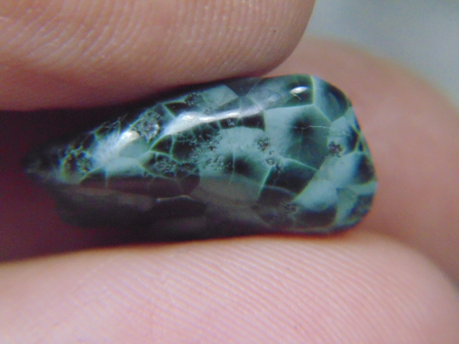 Image for Lapidary: Agates, Fossils, Equipment & More