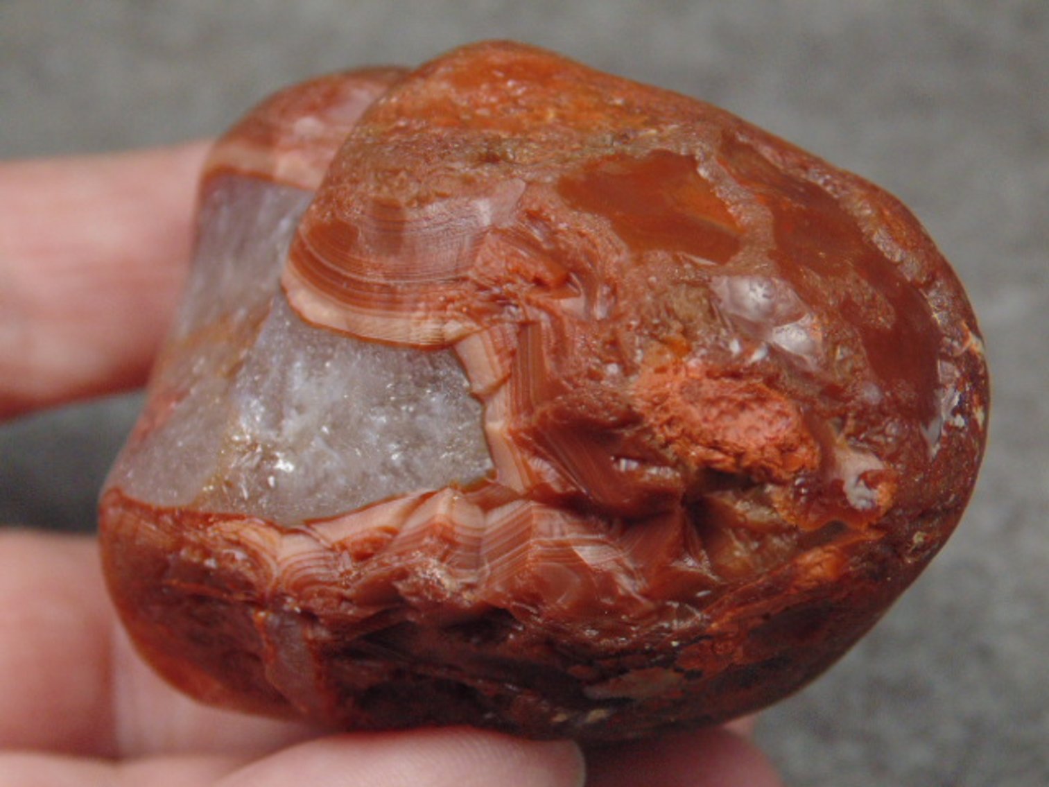Image for Lapidary: Agates, Fossils, Equipment & More