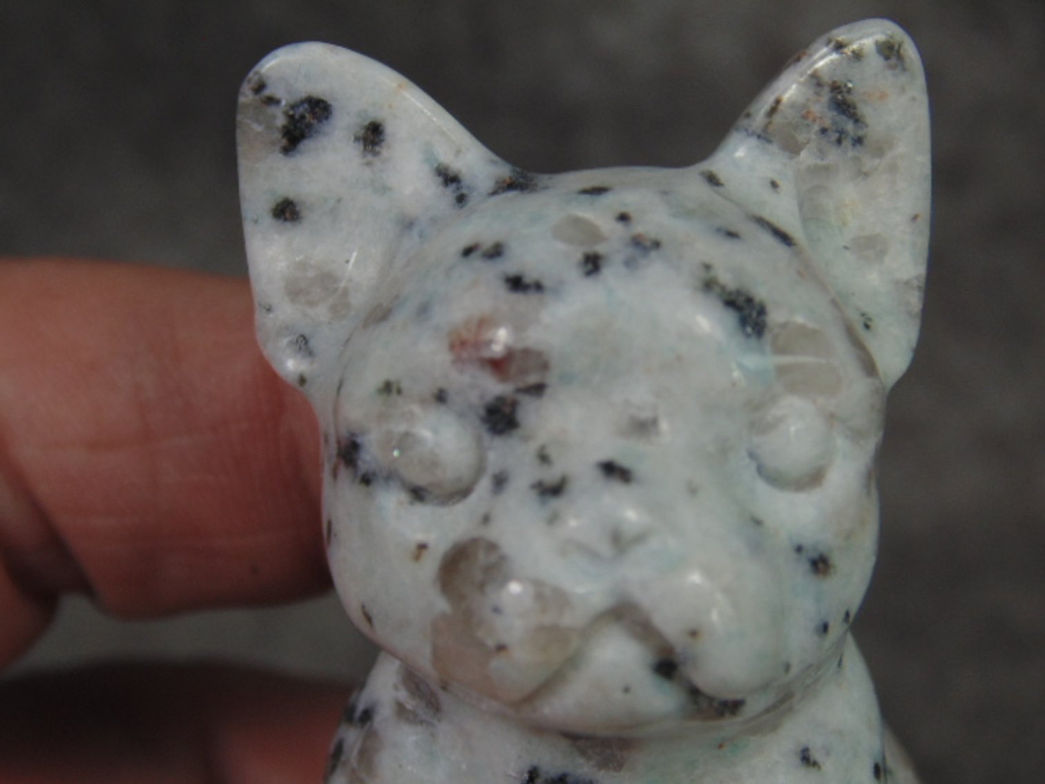 Image for Lapidary: Agates, Fossils, Equipment & More