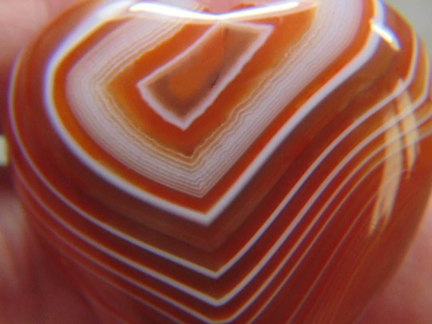 Image for Coins, Akro Agate, Lapidary: Agates, Fossils, Equipment & More