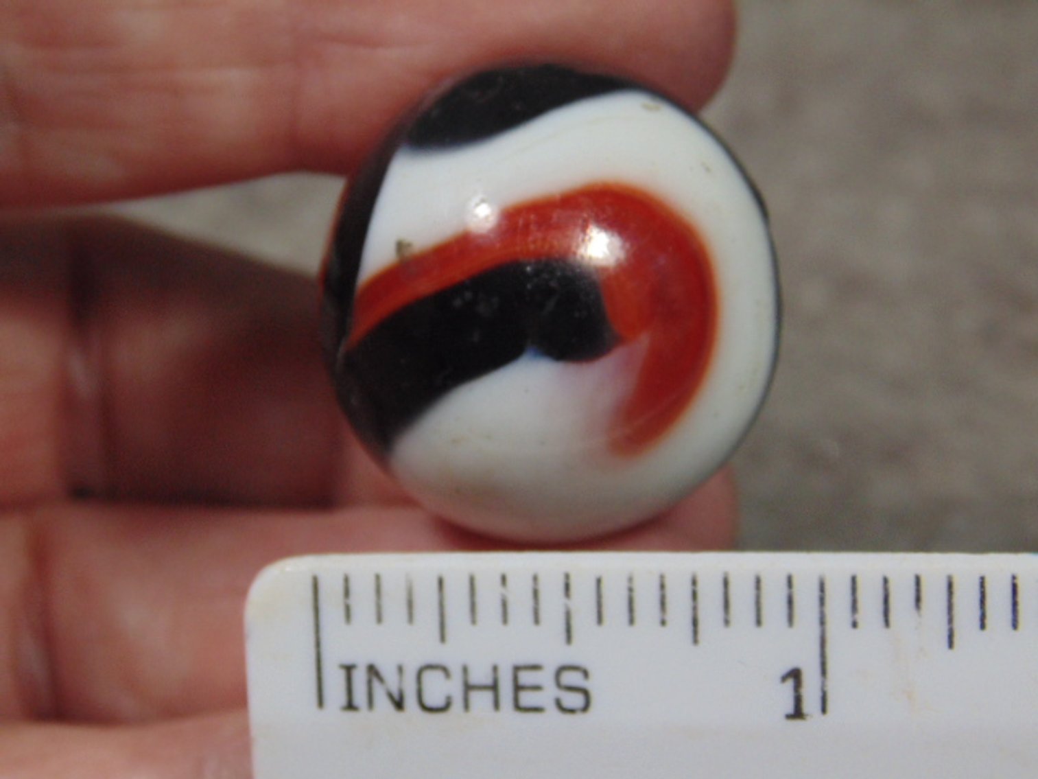 Image for Coins, Akro Agate, Lapidary: Agates, Fossils, Equipment & More