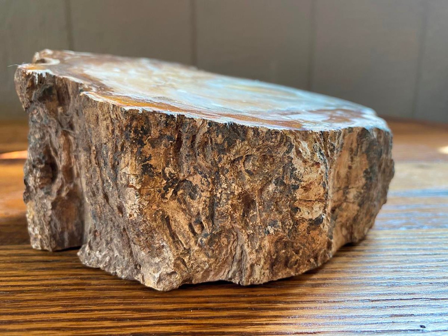 Image for Lapidary: Agates, Crystals, Minerals & More