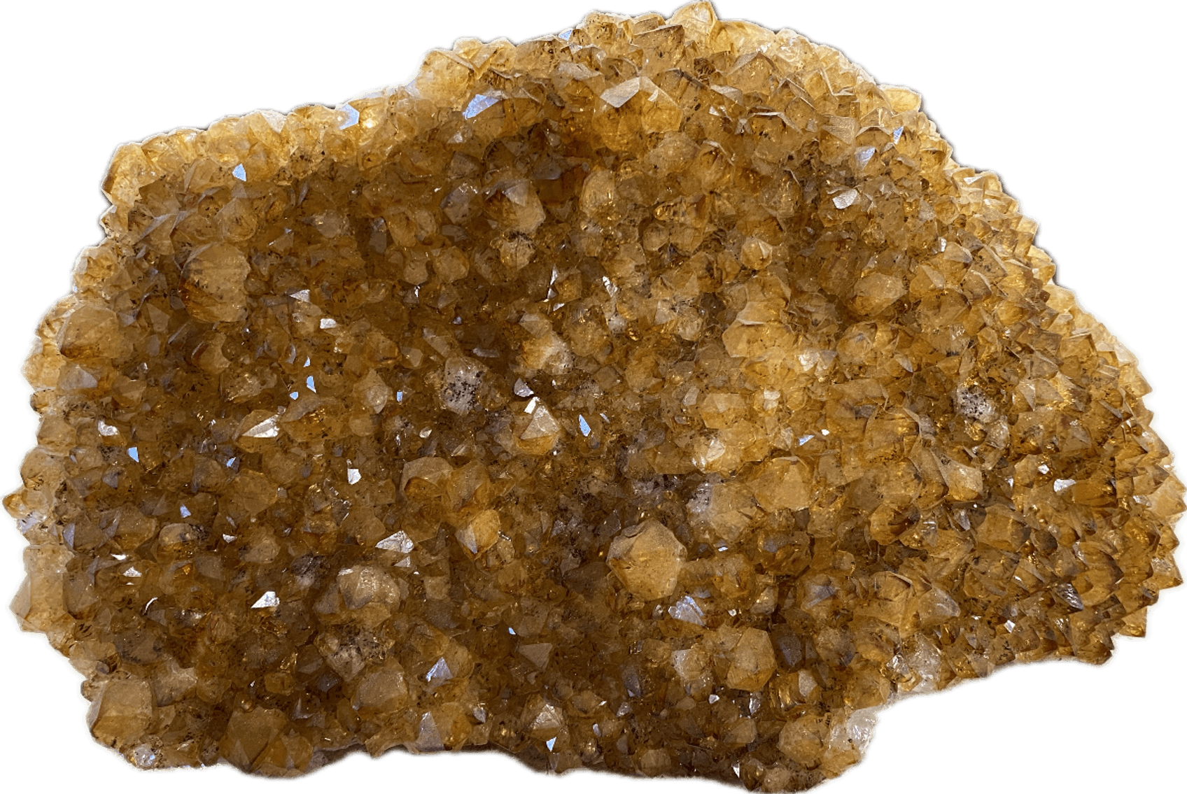 Image for Lapidary: Agates, Crystals, Minerals & More