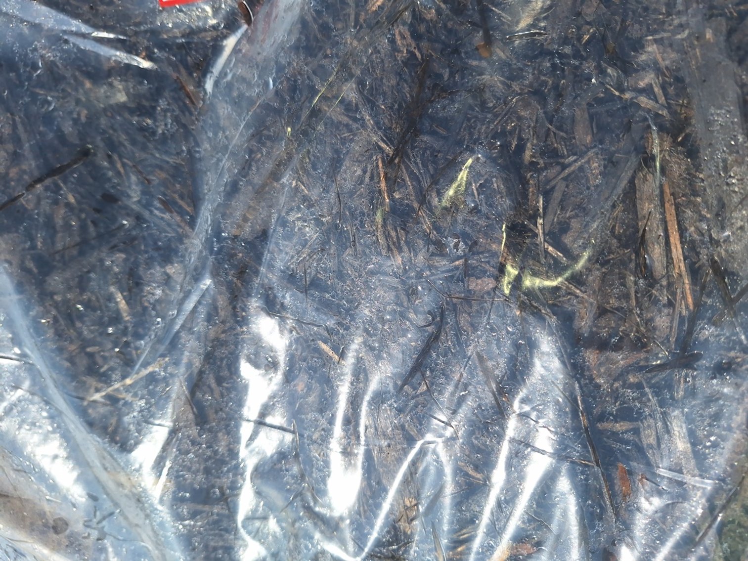 Image for Mulch: 75+ Pallets