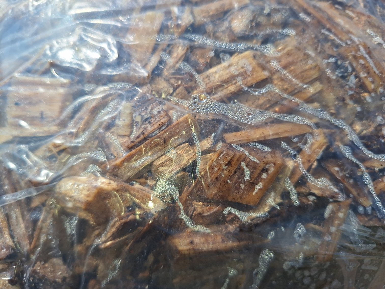 Image for Mulch: 75+ Pallets