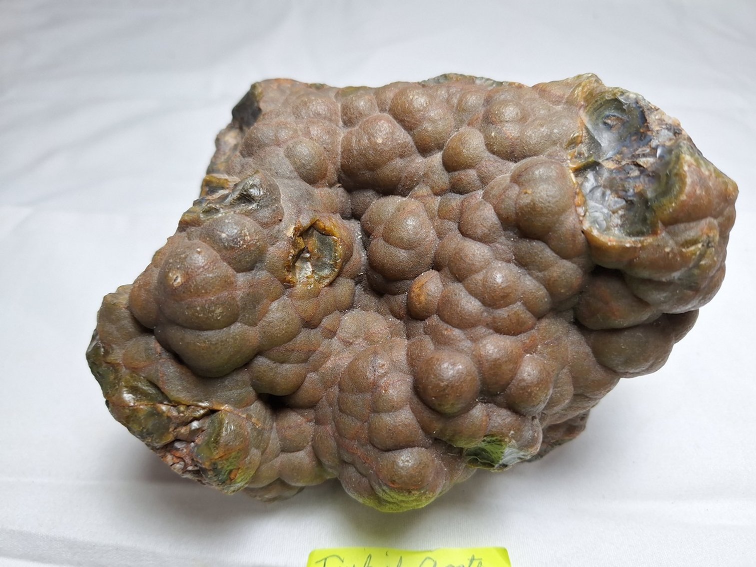 Image for Lapidary: Agates, Specimens & More