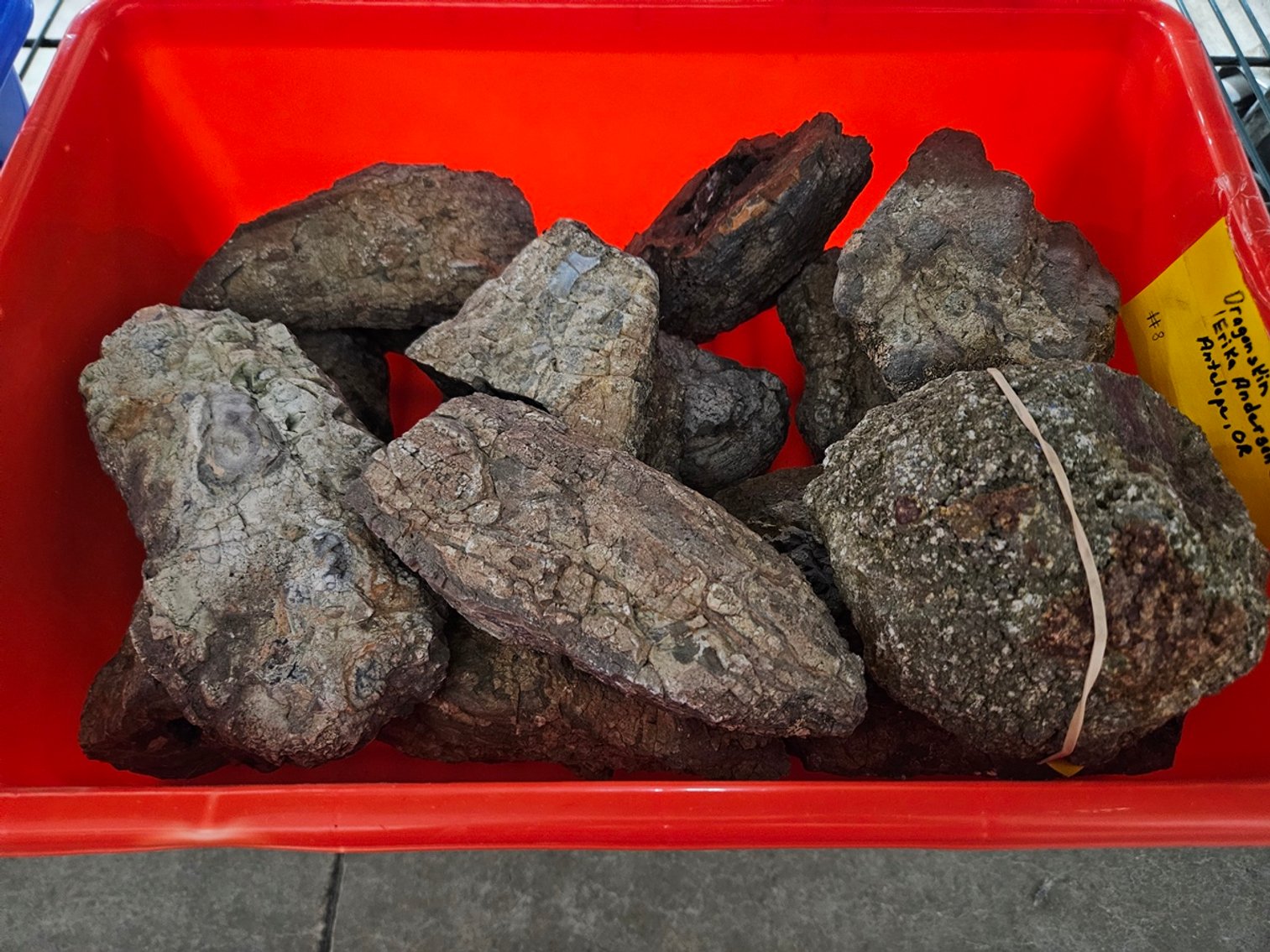 Image for Lapidary: Agates, Specimens & More